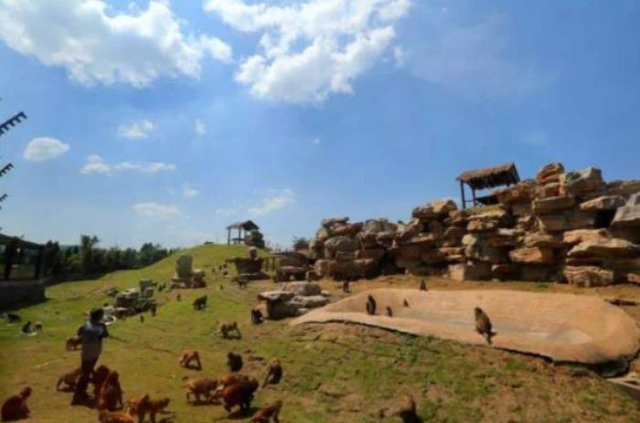 濟南跑馬嶺野生動物園還有嗎