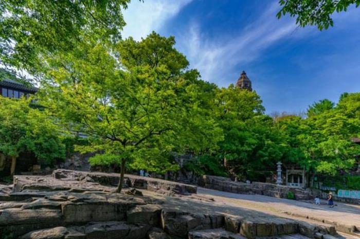 蘇州虎丘風(fēng)景區(qū)旅游攻略 附門票價(jià)格及開放時(shí)間