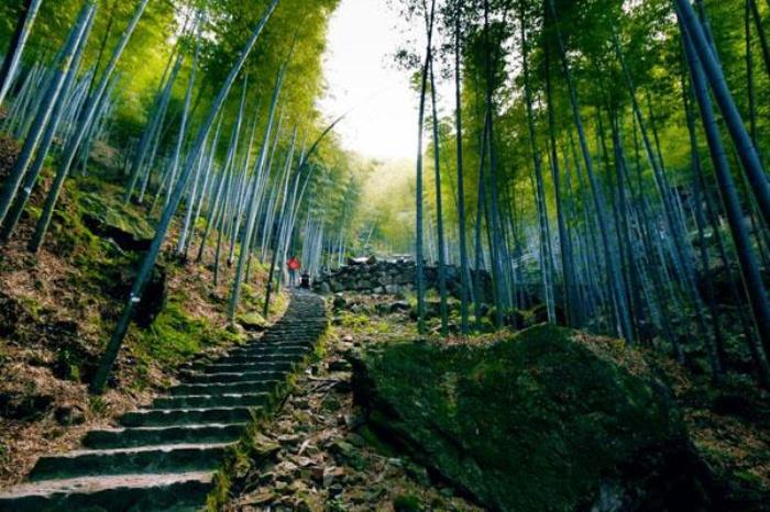 宜興竹海風(fēng)景區(qū)在哪里 具體地址及交通指南