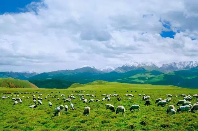去新疆，看世界的風景