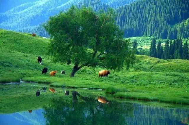 去新疆，看世界的風景