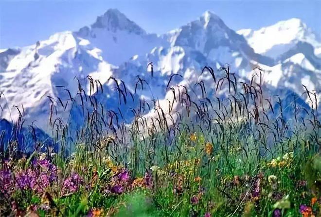 去新疆，看世界的風景