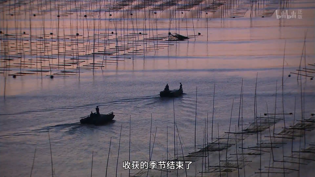 這小城靠“擺拍天堂”火出國外 我卻更愛真實的它