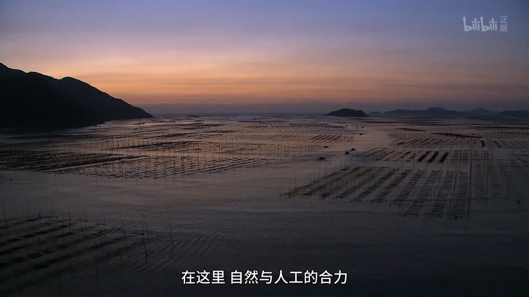 這小城靠“擺拍天堂”火出國外 我卻更愛真實的它