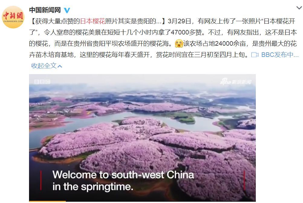國內花海頂流，火了四年，免收門票，浪漫不會遲到！