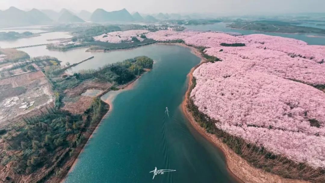 國內花海頂流，火了四年，免收門票，浪漫不會遲到！