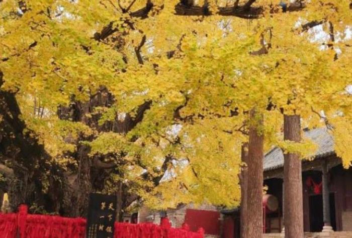 浮來山在哪個地方 什么時候去最好
