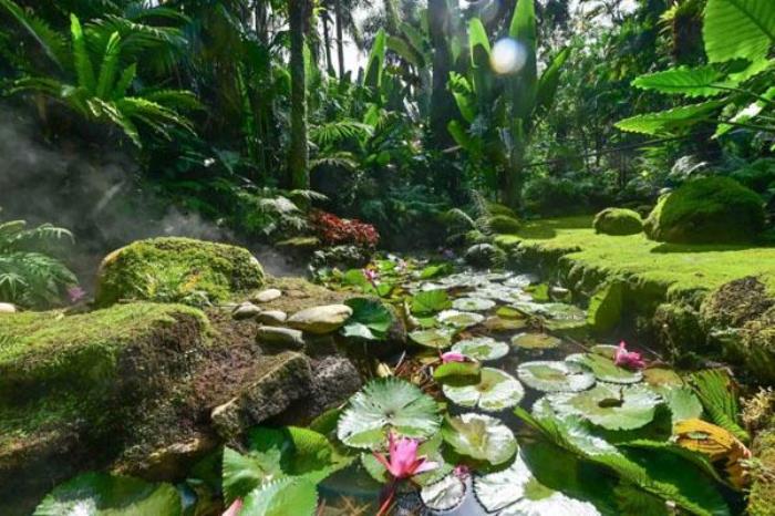 深圳仙湖植物園一日游攻略 附最佳游玩路線