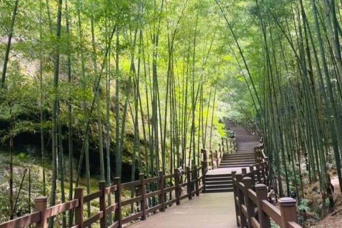 廣西八角寨景區(qū)在哪里