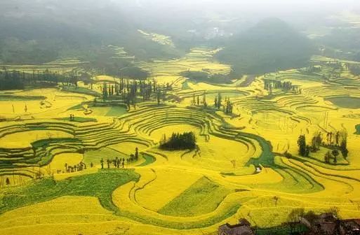 四月，這些浪漫的旅游景點，適合邂逅愛情