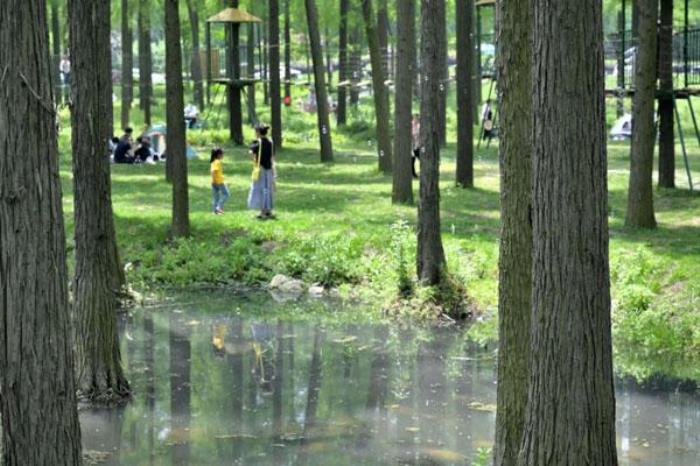 平山森林公園游玩攻略 一日游最佳路線