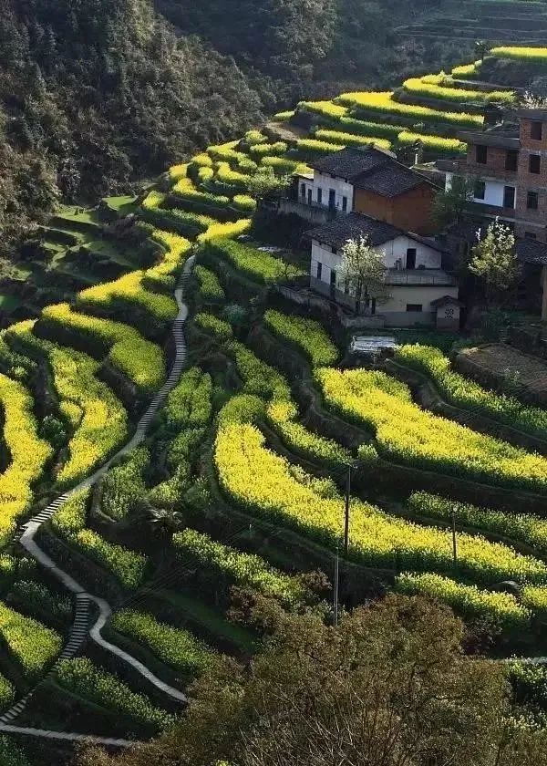 三四月不可錯過的8個地方，春色融融，收拾好行囊踏春去吧！