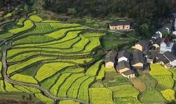 三四月不可錯過的8個地方，春色融融，收拾好行囊踏春去吧！