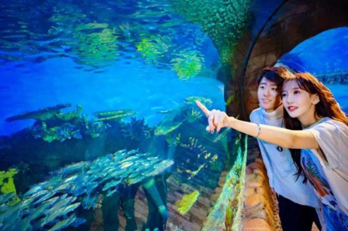 西安華夏文旅海洋公園門票多少錢 附最新優惠政策一覽