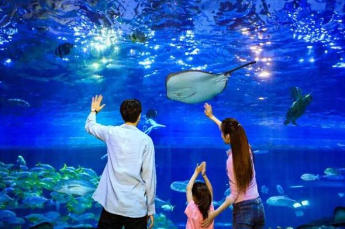 西安華夏文旅海洋公園門票多少錢 附最新優惠政策一覽