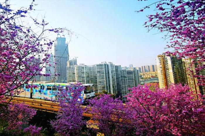 重慶開往春天的列車怎么去 在哪里