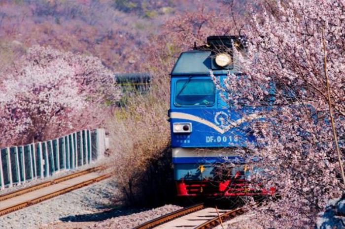 重慶開往春天的列車怎么去 在哪里