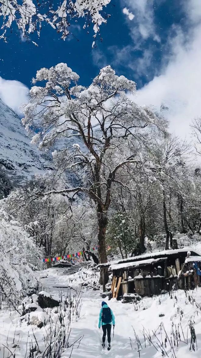 如果真的有香巴拉 那該是雨崩雪后的樣子！