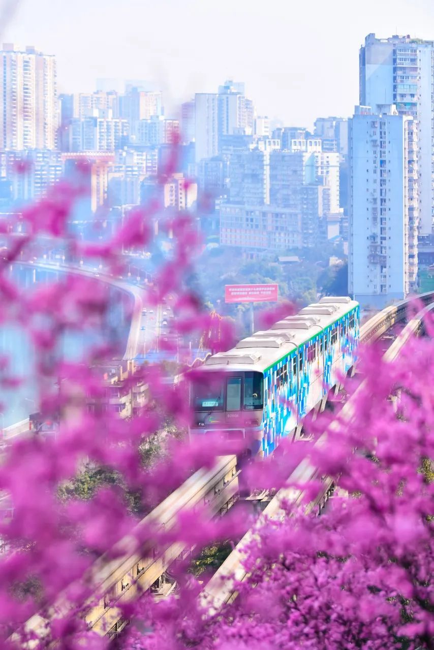 “開往春天的列車”美上央視! 比成都秀美 這座老城你去過嗎？