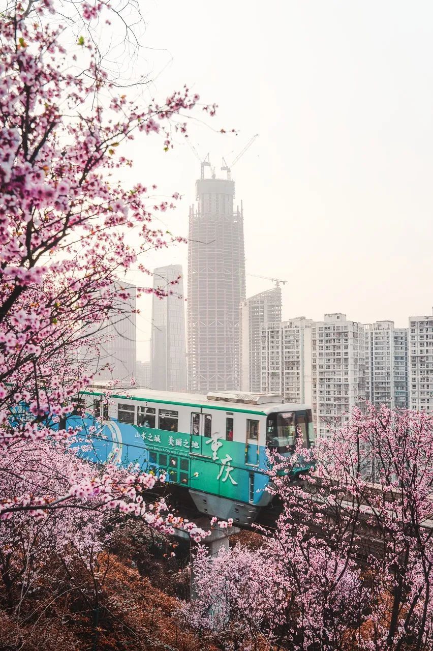 “開往春天的列車”美上央視! 比成都秀美 這座老城你去過嗎？