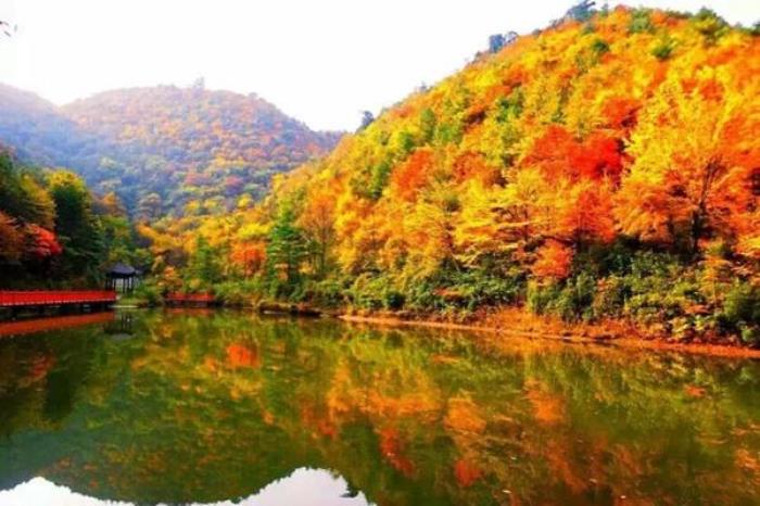 曾家山紅葉觀賞時間2023