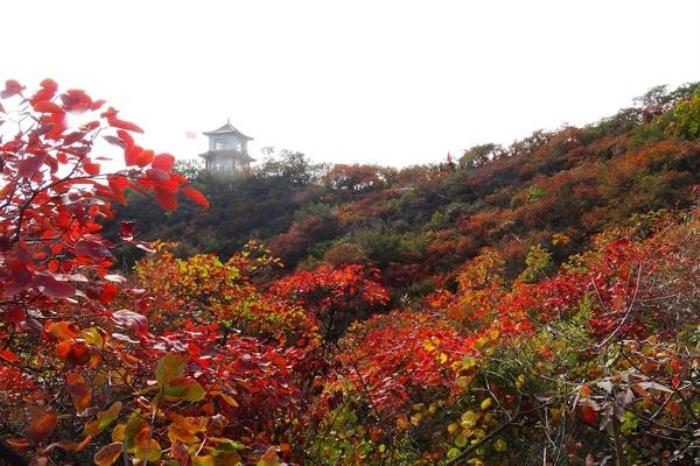 北京賞紅葉十大絕佳去處