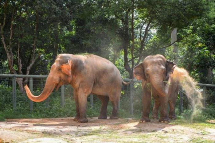 2023福州動物園開放時間及門票 附一日游攻略