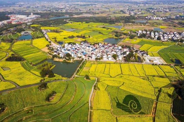 南京高淳國際慢城旅游度假區景區怎么游覽