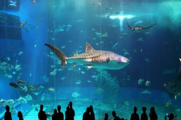 2023鄭州海洋館營業時間 附最新表演時間