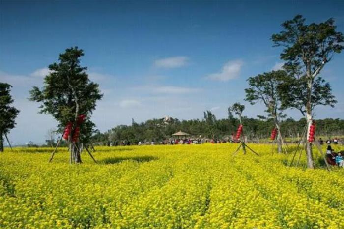 廈門香山公園游玩攻略2022
