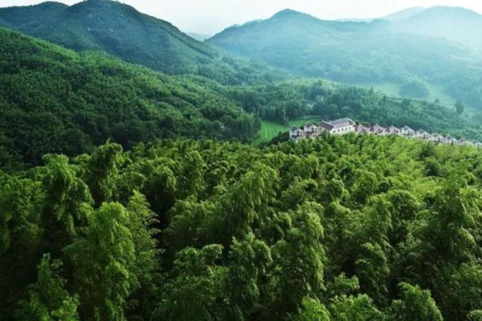 洛陽王府竹海好玩嗎 有哪些旅游景點