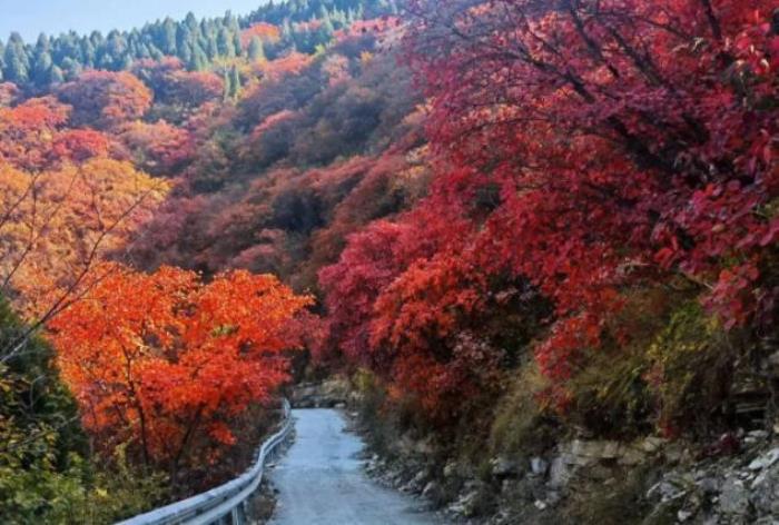 濟南劈山賞紅葉路線推薦
