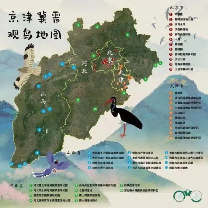 2023-2024年觀鳥季山西有哪些觀鳥的好位置推薦