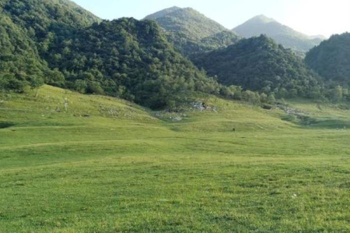 巫溪紅池壩風景區最佳旅游時間