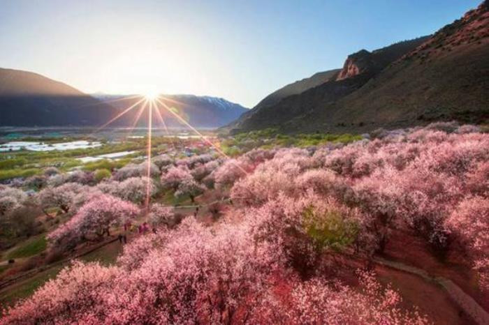 春季旅游路線推薦 每一個都不容錯過