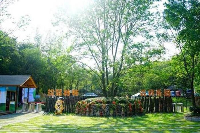 南京松鼠咔咔森林樂園好玩嗎 附地址及交通