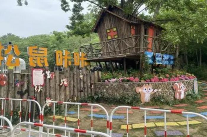 南京松鼠咔咔森林樂園好玩嗎 附地址及交通