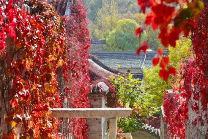 2023古北水鎮紅葉什么時候最美 附最佳觀賞期一覽