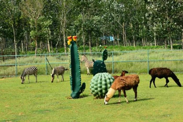 2023秦皇島野生動物園門票多少一張 附優(yōu)惠政策一覽