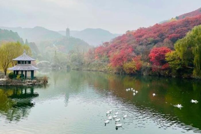 濟南紅葉谷最佳旅游時間