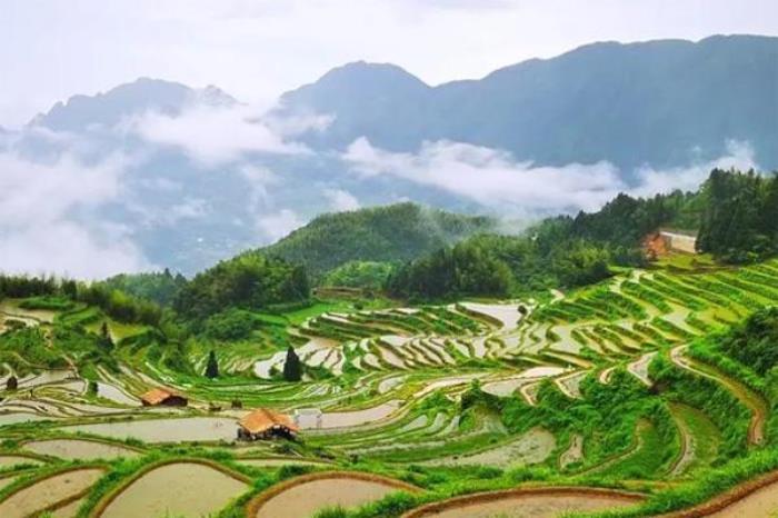 云和梯田怎么自駕上山