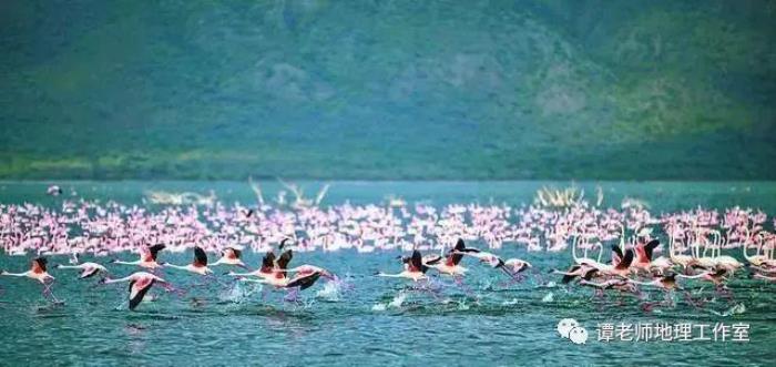 東非大裂谷為什么被稱作地球上最大的傷疤？