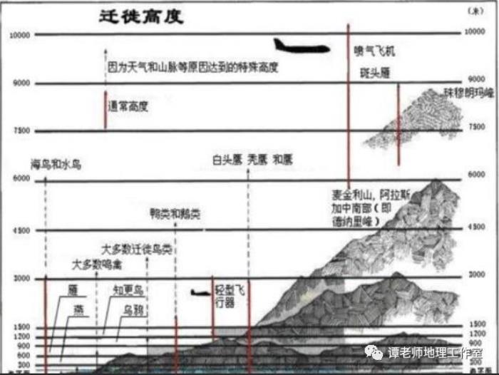 東非大裂谷為什么被稱作地球上最大的傷疤？