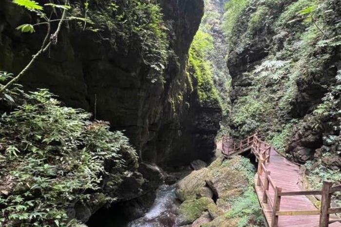 重慶黑山谷自駕游攻略