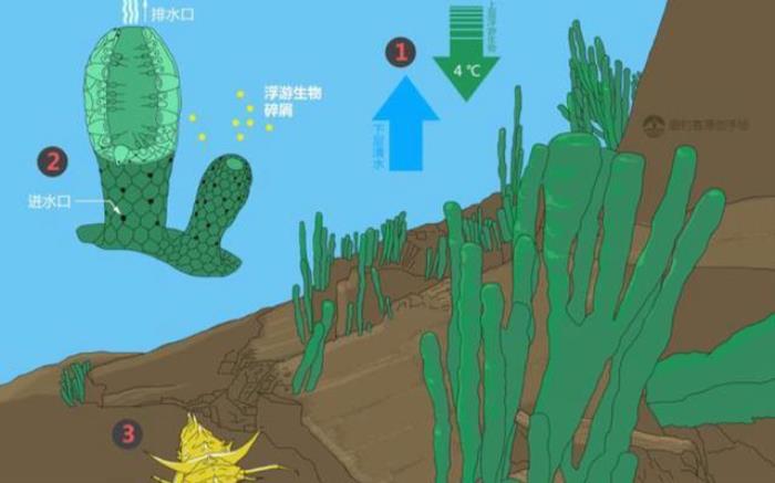 西伯利亞的“明珠”貝加爾湖，為何被稱為“來路不明”的湖泊？