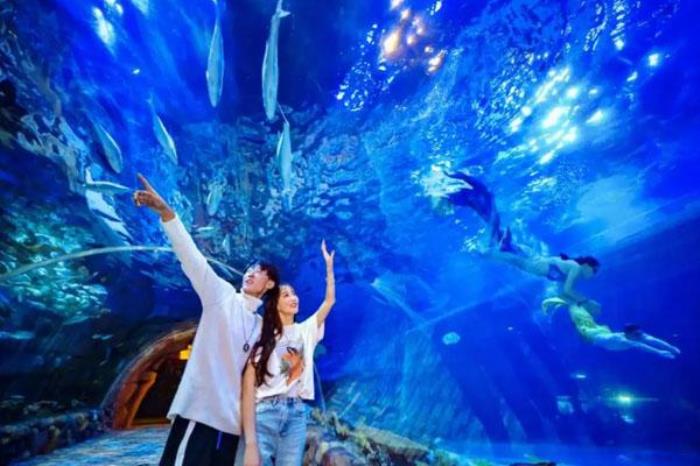 2022西安華夏文旅海洋公園游玩全攻略 附表演時(shí)間及游玩路線
