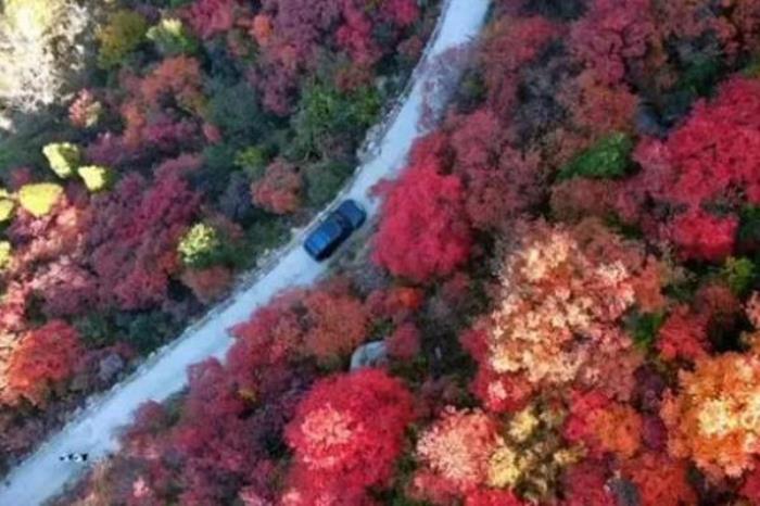 濟南劈山賞紅葉路線推薦