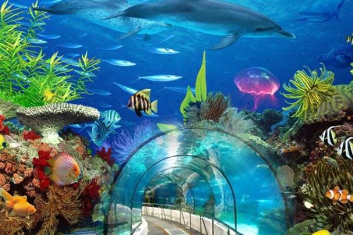 太平洋海底世界和北京海洋館哪個好玩