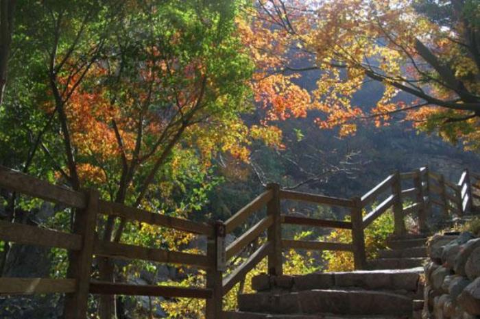 秋季嶗山哪個(gè)景區(qū)景色最好