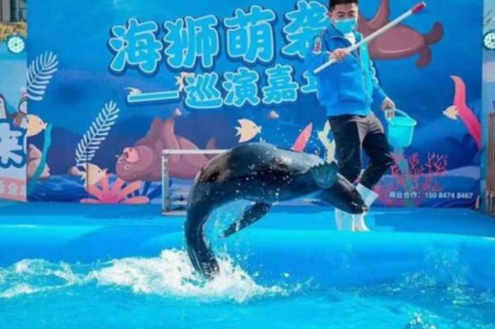太平洋海底世界和富國(guó)海底世界哪個(gè)好玩